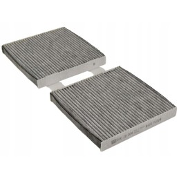 Mann salono filtras bmw x3 f25