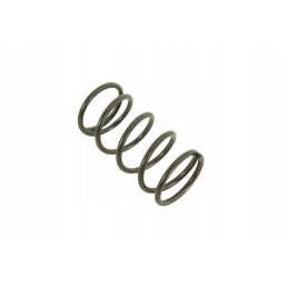 V31609700 spyruoklė