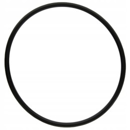 Oring Fendt 70806234 x548967266000 granitas