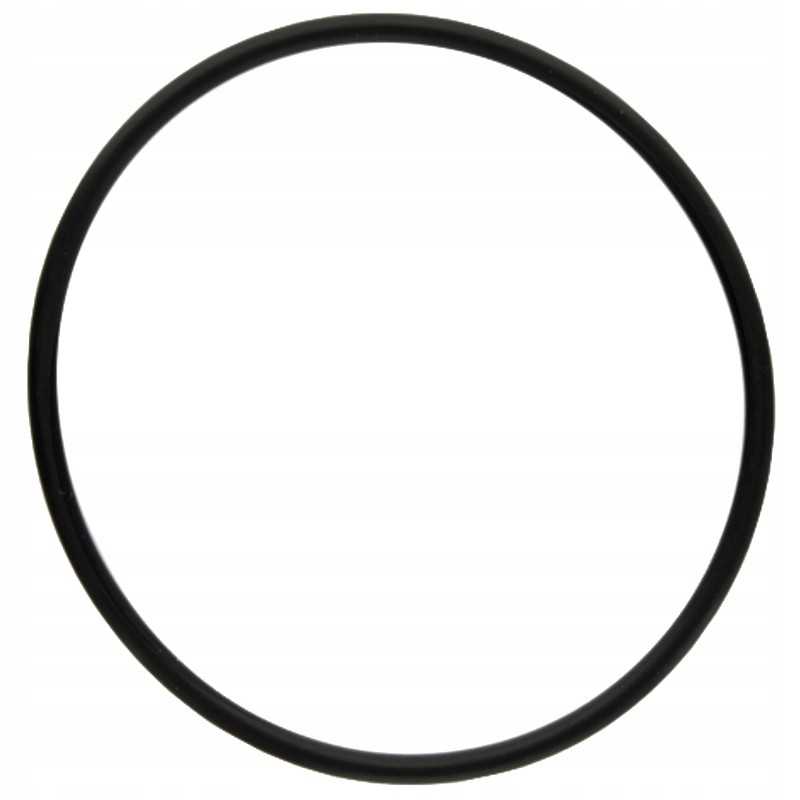 Oring Fendt 70806234 x548967266000 granitas