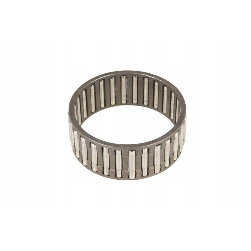 F514100360180 pavaros adatinis guolis