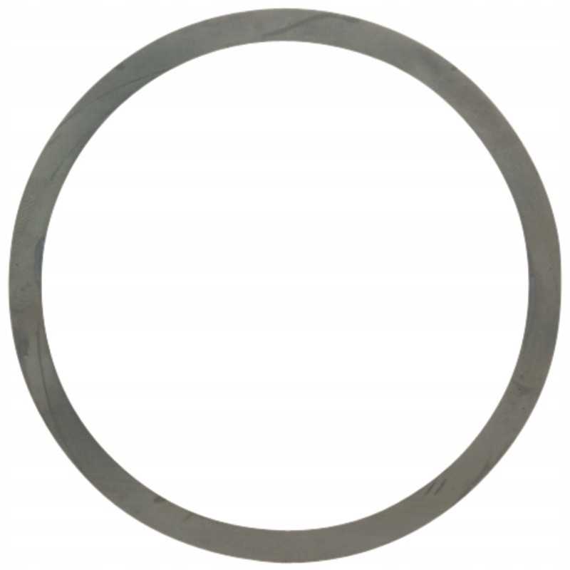 Pad 159000 3427281m1 dana prieskonis