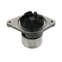 Landini vandens siurblys 710239a2 710239a1