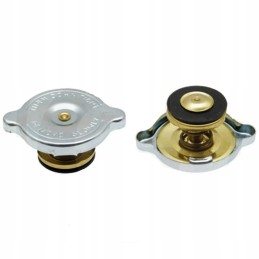 Radiatoriaus dangtelis ford 83955240