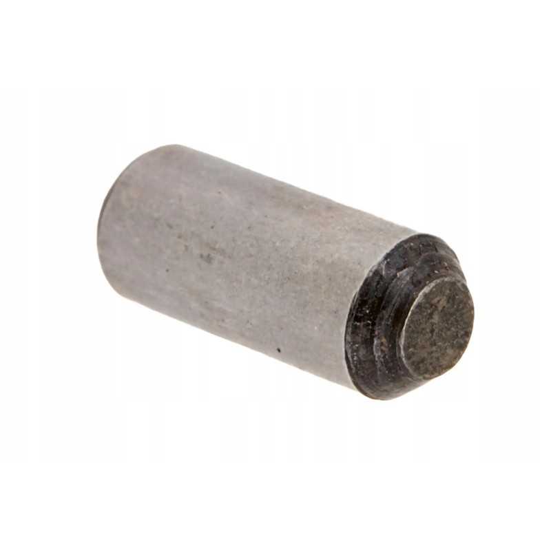 Pis14010001 kaištis m6 x 12