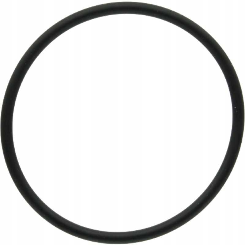 Oring 159000 3019927x1 dana prieskonis
