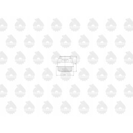 Silfono termostatas c 330 originalus ursus