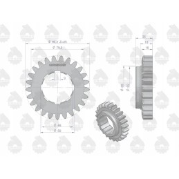 Varo pirmos ir ketvirtos pavaros