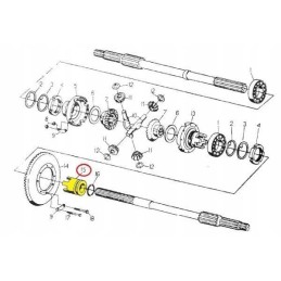Stumdoma šunų sankaba, diferencialo užraktas