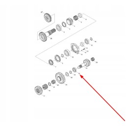 Gbt283 nup307e 1 eilės cilindrinis ritininis guolis