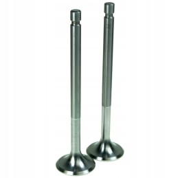 Išmetimo vožtuvas c 330 ush94 thm 020164 00500084