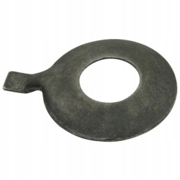 Pavaros plokštei suteiktas prieskonis