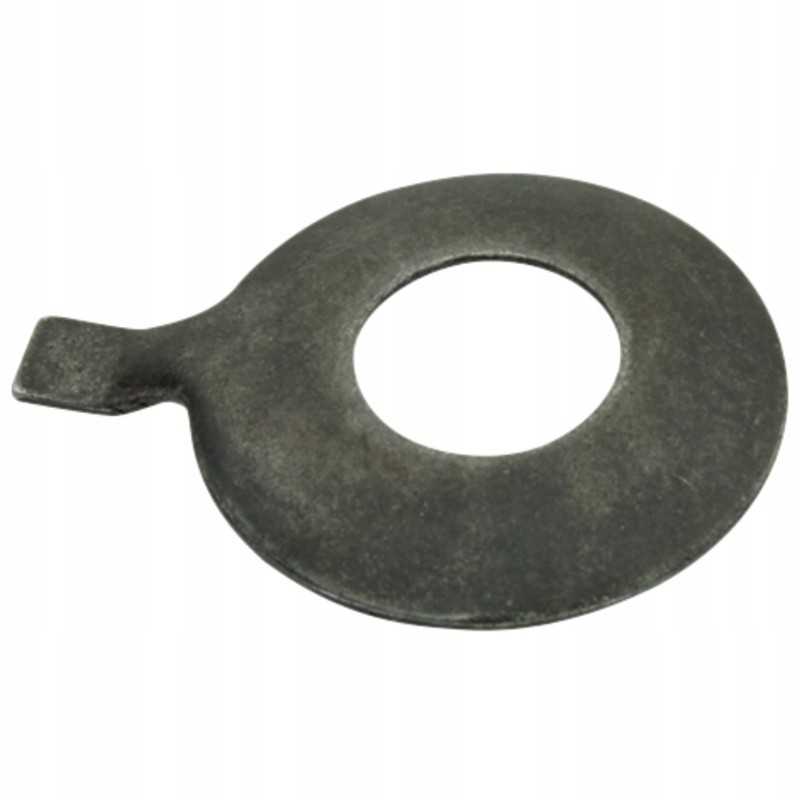 Pavaros plokštei suteiktas prieskonis