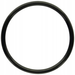 Oring fight 85215078 366434x1 granitas