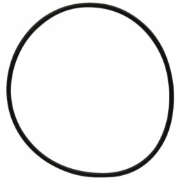Oring 159000 371153x1 dana prieskonis