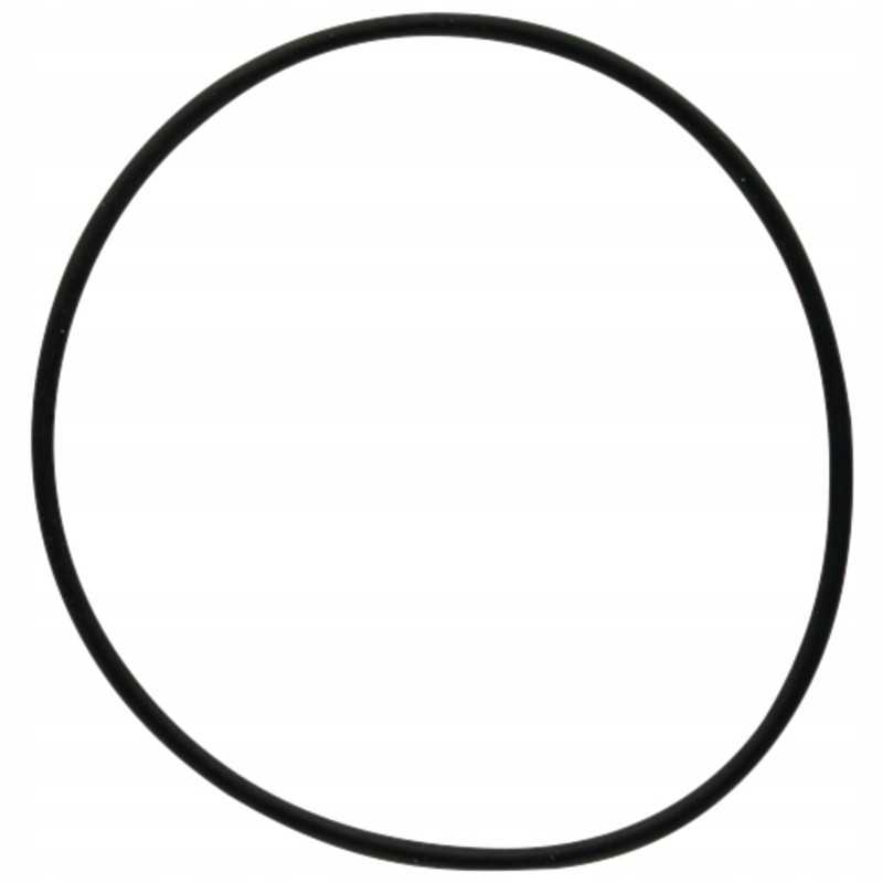 Oring 159000 371153x1 dana prieskonis
