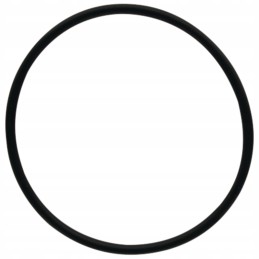 Oring 159001 05 0519 dana prieskonis