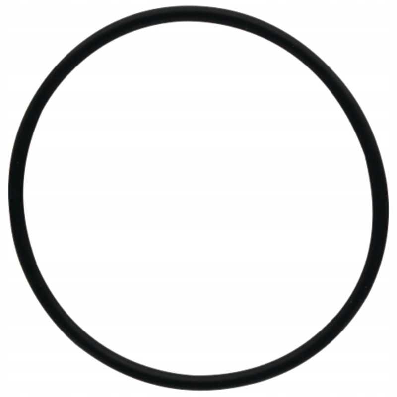 Oring 159001 05 0519 dana prieskonis