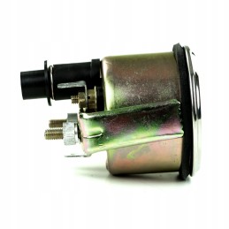 Vandens temperatūros manometras 6561877719m91