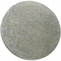 Slėgio plokštės krumpliaračio velenas dana spicer