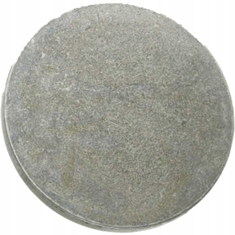 Slėgio plokštės krumpliaračio velenas dana spicer