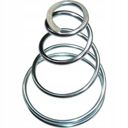 Stabdžių spyruoklė c 385 80227015 agtech p1609