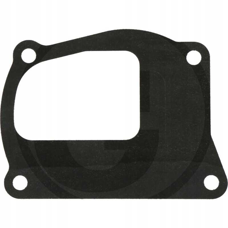 Vandens siurblio tarpiklis fiat ford new holland 4599561