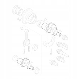 Hatz 01269910 alkūninis velenas 1d30 1d31 1d40 1d41