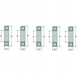 Rutulinis guolis paprastai 6007 2rs c fag
