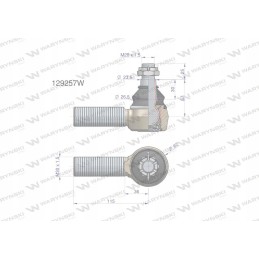 Vairo šarnyras m30x1 5 129257 warynski