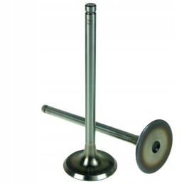 Siurbimo vožtuvas deutz 912 913 khd thm ush197 912in