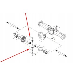 Tl02311010031 poveržlė