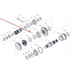 Pis06030002 vidinis seger žiedas