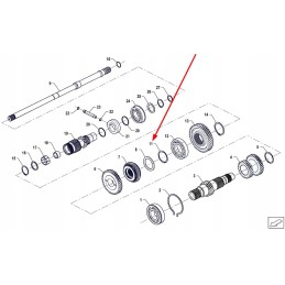 Pis06030002 vidinis seger žiedas