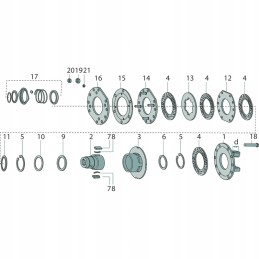 Lapinė spyruoklė 48 x 5 mm 332185