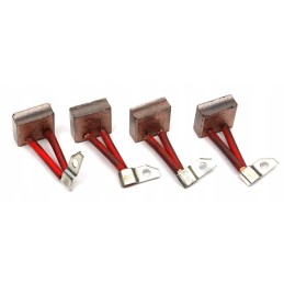 Šepečių rinkinys 10x25x23 starteriui r 11 4665711