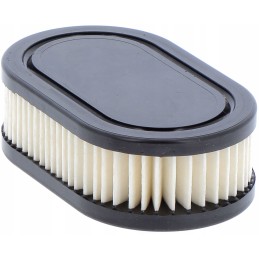 Briggs stratton oro filtras 593260 798452
