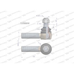 Dešinysis vairo šarnyras m24x1 5 3010502 warynski