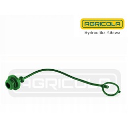 Žalias hidroliderio euro lizdo kištukas