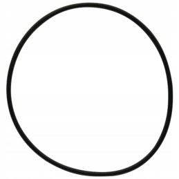 Oring 159000 371153x1 dana prieskonis