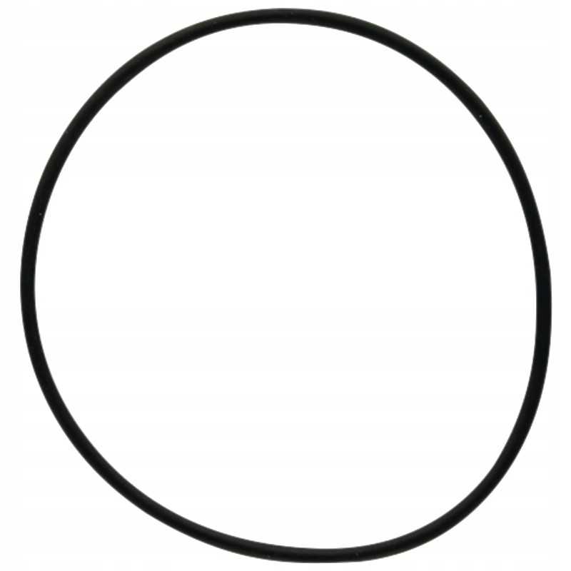 Oring 159000 371153x1 dana prieskonis