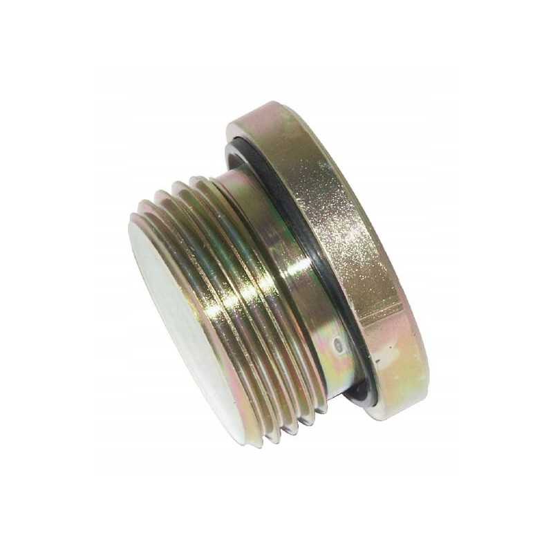 Kištukas su sandarikliu 1 v.š