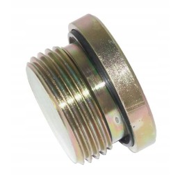 Kištukas su sandarikliu 1 v.š