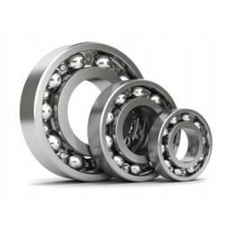 Guolis 6309 skf