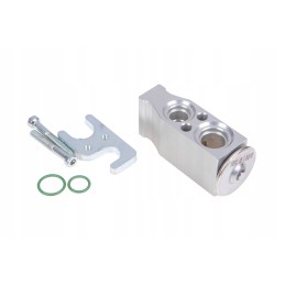 P5s81201169 oro kondicionieriaus išsiplėtimo vožtuvas