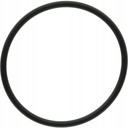 Oring 159000 3019927x1 dana prieskonis