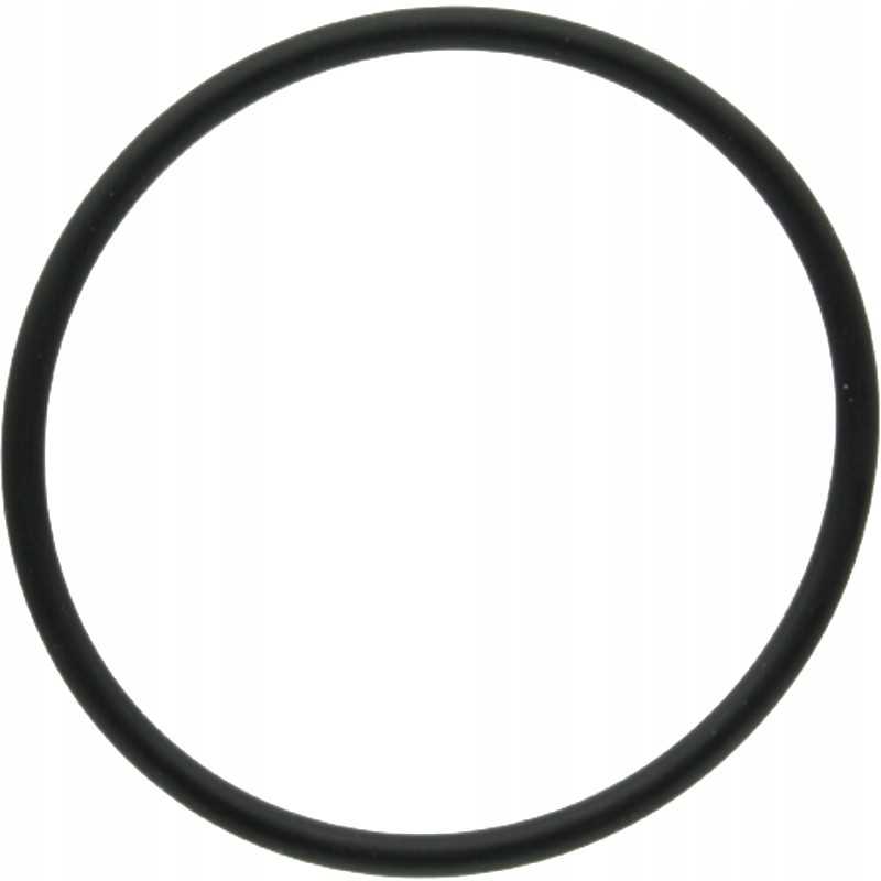Oring 159000 3019927x1 dana prieskonis