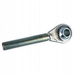 Srieginis kotas su granito galvute