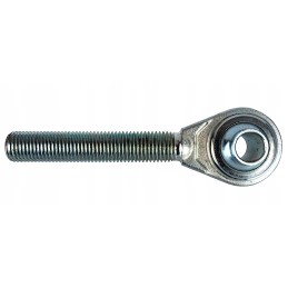 Srieginis kotas su granito galvute