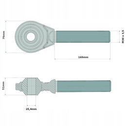 Srieginis kotas su granito galvute